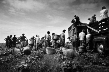 Steve Schapiro, ‘Mirant Bean Pickers, Arkansas, 1961’