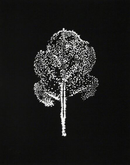 Wataru Yamamoto, ‘A Chrysanth Leaf 7, from the series "Leaf of Electric Light"’, 2012