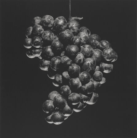 Robert Mapplethorpe, ‘Grapes’, 1985