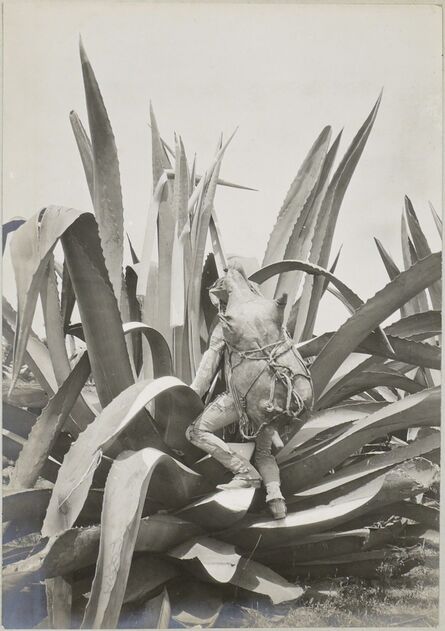 CHARLES BETTS WAITE, ‘Tlachiquero. Drawing pulque from the maguey,’, ca. 1898