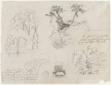 Frederic Edwin Church, ‘Sketches from South America, probably from Colombia.  Botanical sketches.  A house.’, 1853