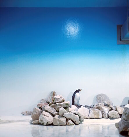 Eric Pillot, ‘Blue Penguin’, 2013