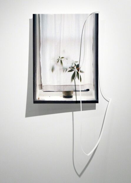 Steven Beckly, ‘Crop Window’, 2016
