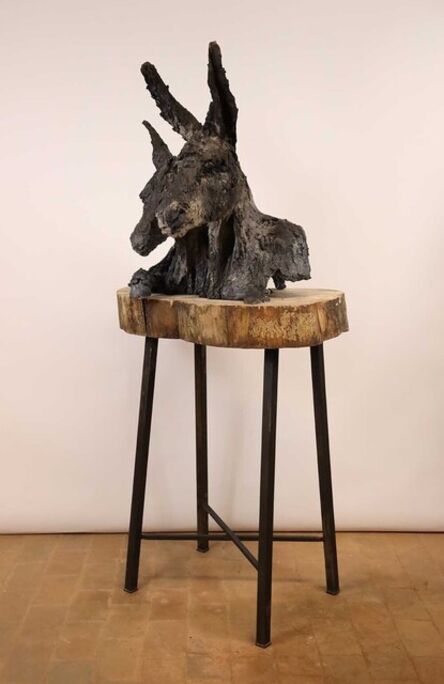 Cécile Raynal, ‘Donkeys' skin’, 2021