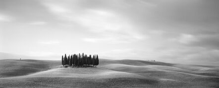 Brian Kosoff, ‘Tuscan Trees’, 2007