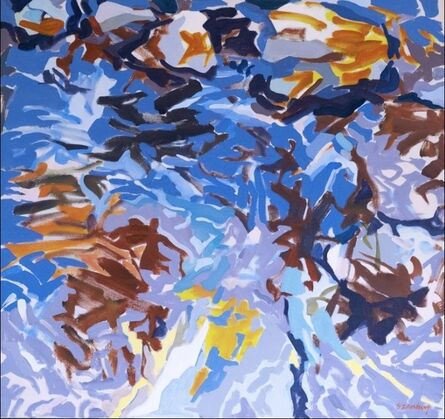 Sol Zaretsky, ‘Flat Rock Creek Closeup’, 2003