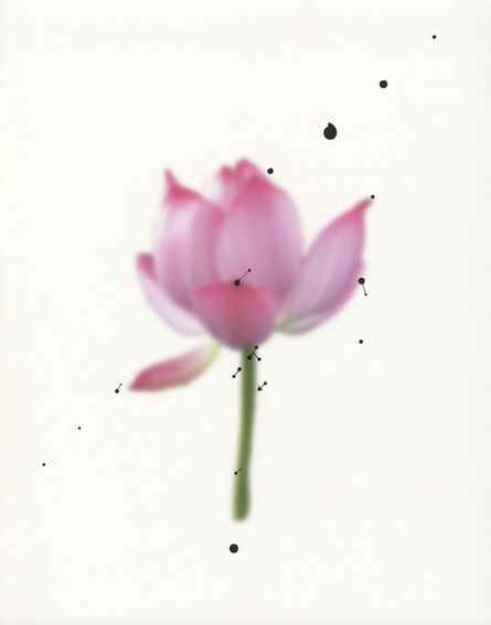 Shen Wei 沈玮 (b. 1977), ‘Crying lotus’, 2013