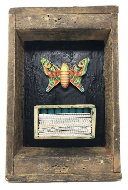 Robin Howard, ‘Butterfly Box 2’, 2019