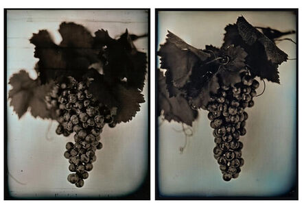 Chuck Close, ‘Red Wine Grapes 1 & 2’, 2007