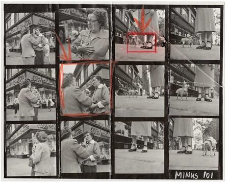 Elliott Erwitt, ‘Chihuahua (New York City)’, 1946