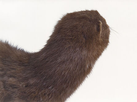 Roni Horn, ‘A Mink Look’, 1998