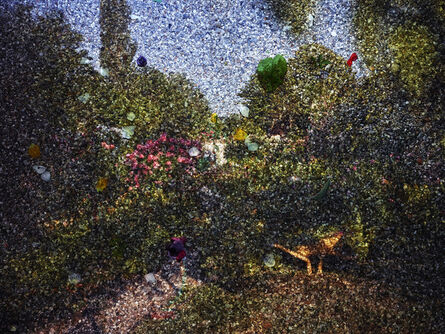 Abelardo Morell, ‘Tent-Camera Image on Ground: View of Monet’s Gardens with Wheelbarrow, Giverny, France’, 2015