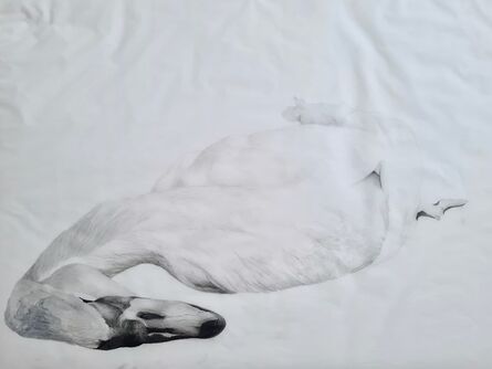 Jessica Ostrowicz, ‘Muted Swan’, 2020
