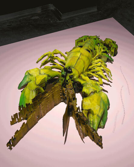 Kristoffer Ørum, ‘Signal Crayfish’, 2019