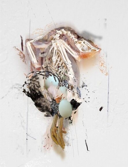 Deborah Oropallo, ‘Chicken Egg Chicken #6’, 2013
