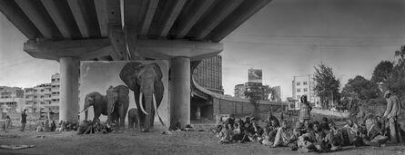 Nick Brandt, ‘Underpass With Elephants & Glue-Sniffing Children’, 2015