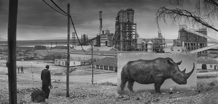 Nick Brandt, ‘Factory with Rhino ’, 2014