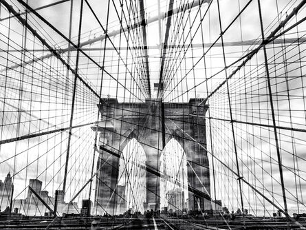 Nicolas Ruel, ‘Web (New York, USA)’, 2014