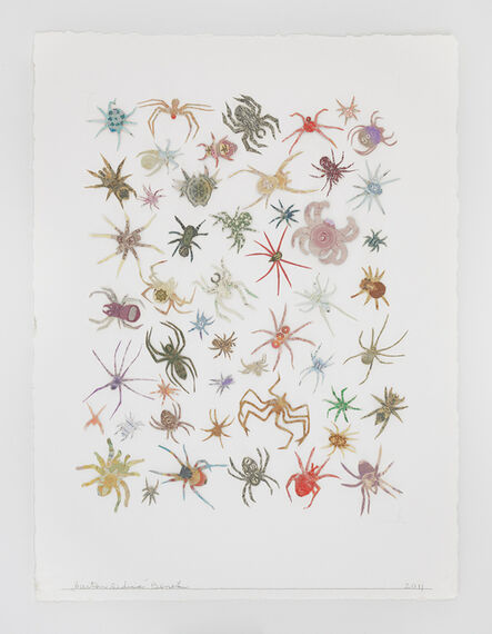 Barton Lidice Benes, ‘Botanical Spiders’, 2011