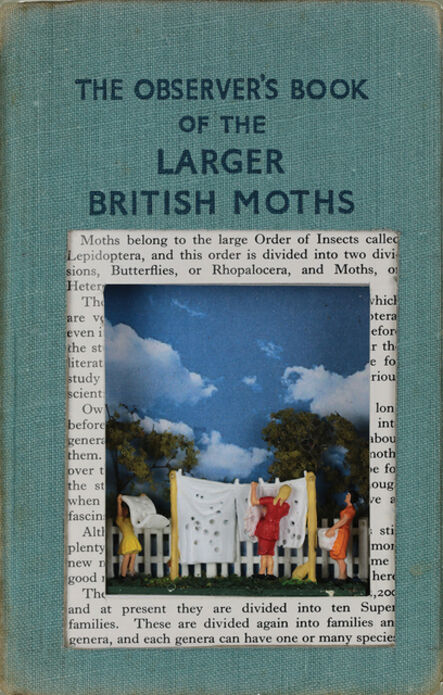 Laura Beaumont, ‘The Observer's Book of Larger British Moths’, 2019