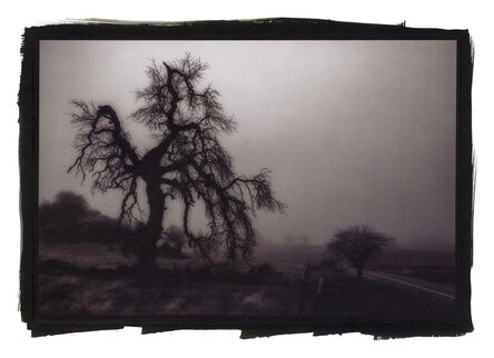 Kerik Kouklis, ‘Foggy Morning, Latrobe, CA’, 2021
