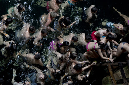 Francine Fleischer, ‘Swim 9234’, 2013