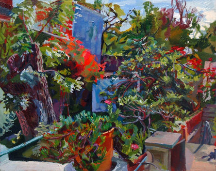 Jenny Toth, ‘San Miguel Backyard at Naptime’, 2014
