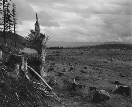Frank Gohlke, ‘Looking southeast across lahar (mudflow). Six miles southeast of Mount St. Helens’, 1983