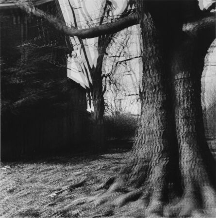Ralph Eugene Meatyard, ‘Untitled (“Motion-Sound” Landscape)’, 1969/1974