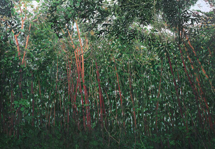 Liu Renxian 刘仁仙, ‘Quiet Woods’, 2017