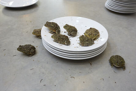 Juergen Teller, ‘Frogs and Plates No.17’, 2016