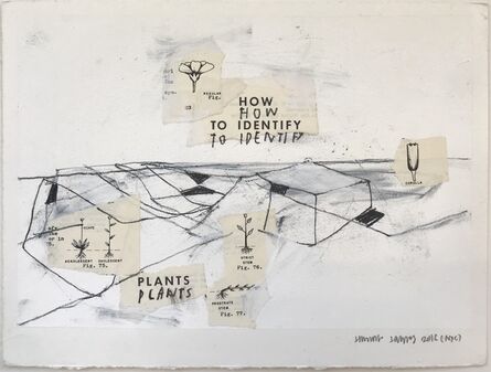 Jimmie James, ‘how to identify plants’, 2016
