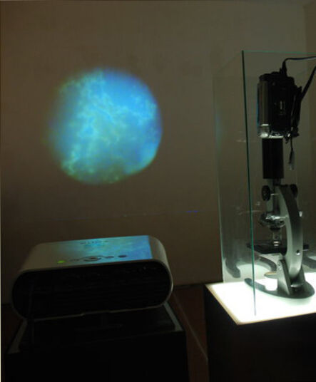 Syaiful Aulia Garibaldi, ‘Terhah Microscope’, 2014