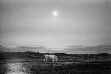 Jehsong Baak, ‘Horse in a Field ’, 2005