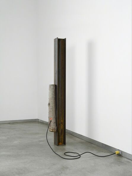 Michel de Broin, ‘Logged On’, 2013