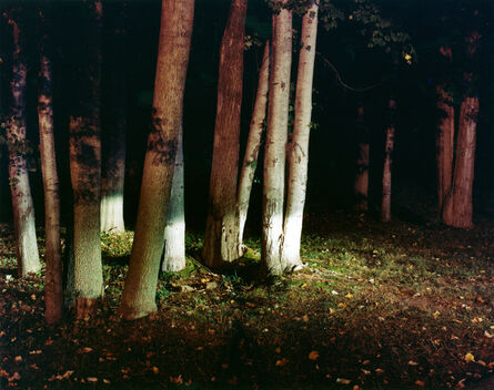 Maria Passarotti, ‘Woods’, 2005