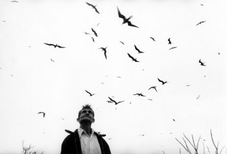 Graciela Iturbide, ‘El señor de los pájaros, Nayarit ’, 1984