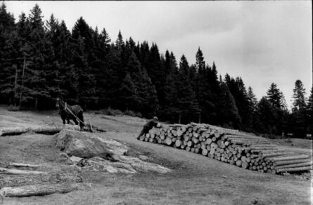 Henri Cartier-Bresson, ‘Logging Operation, Quebec, Canada’, 1967/1967