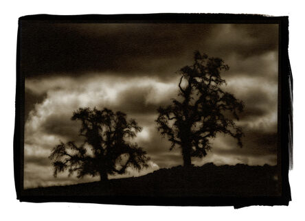 Kerik Kouklis, ‘Two Trees, El Dorado Hills, CA’, 2020