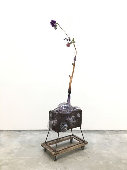 Jesse Krimes, ‘Of Beauty and Decay; or, not (purple)’, 2018