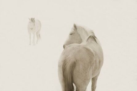 Jack Spencer, ‘Snow Ponies #2, Truchas, NM’, 2006