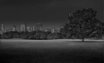 Michael Massaia, ‘Sheep Meadow Sunrise, Central Park, New York City’, 2012