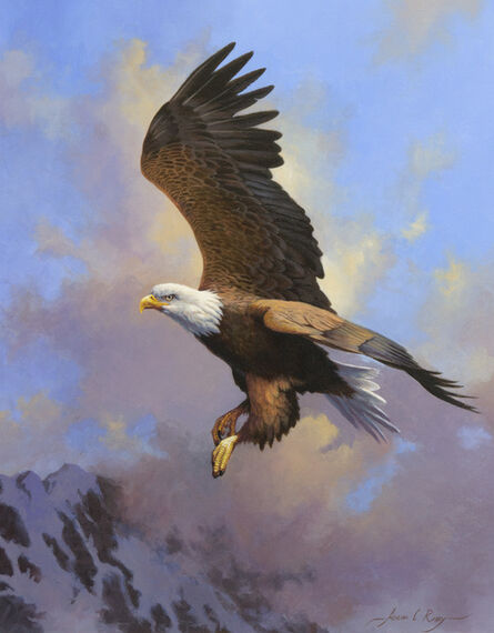 Adrian C. Rigby, ‘Untitled - Bald Eagle’