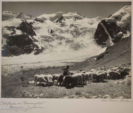Albert Steiner, ‘”Schafhirte im Berninagebiet.  - Oberengadin - Graubunden -“  (Shepherd in the Bernina area. - Upper Engadine - Graubunden -)’, 1925-1950