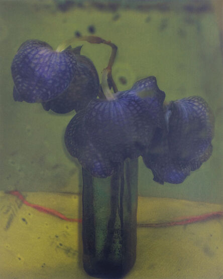Sarah Moon, ‘Les Orchidees’, 2010