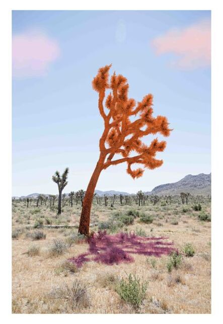 Sarah Anne Johnson, ‘Joshua Tree (Orange)’, 2018