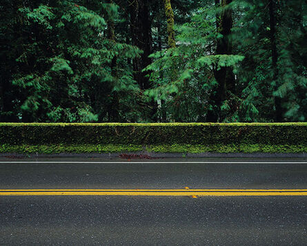 Sparky Campanella, ‘Avenue of the Giants’, 2009