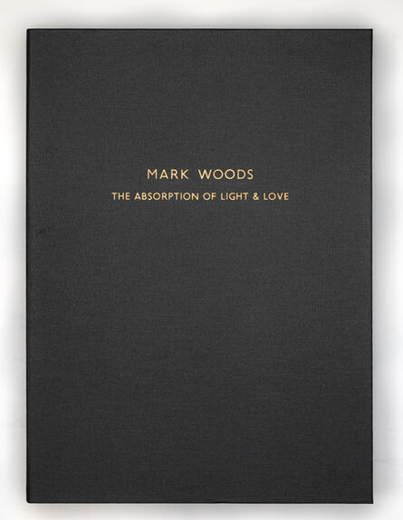 Mark Woods, ‘Absorption of Light’, 2021