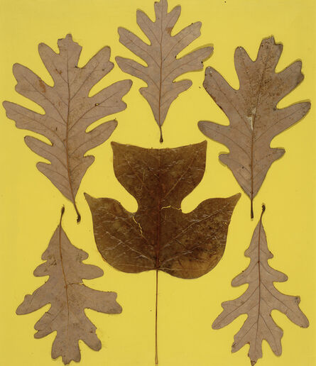Josef Albers, ‘Leaf Study IX’, ca. 1940