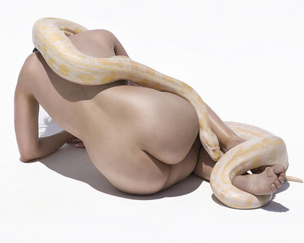 Sylvie Blum, ‘Python II’, 2017